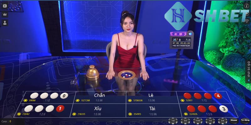 Khám phá về thuật toán xóc đĩa - cách tính cầu xóc đĩa online