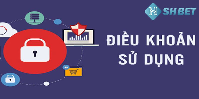 Thông tin điều kiện điều khoản cho thành viên - Nền tảng cho sự tin tưởng