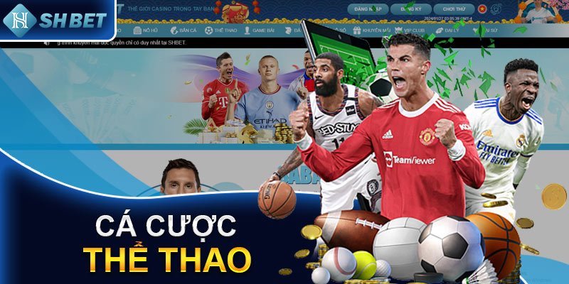 Hệ thống game thể thao đa dạng cho các cược thủ lựa chọn