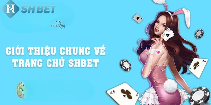 Giới thiệu về chúng tôi - Nhà cái SHBET uy tín