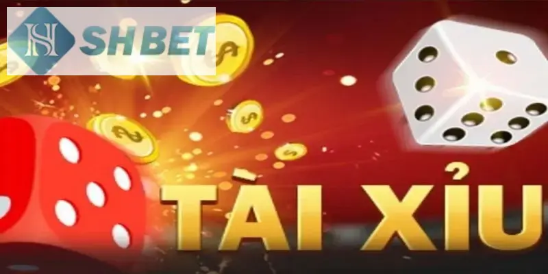 Thành viên chú ý các kinh nghiệm soi cầu tài xỉu chuẩn xác bất bại