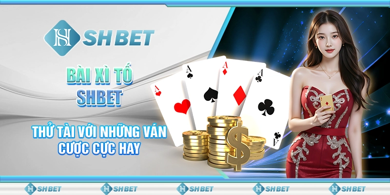 Bài Xì Tố SHBET - Thử Tài Với Những Ván Cược Cực Hay
