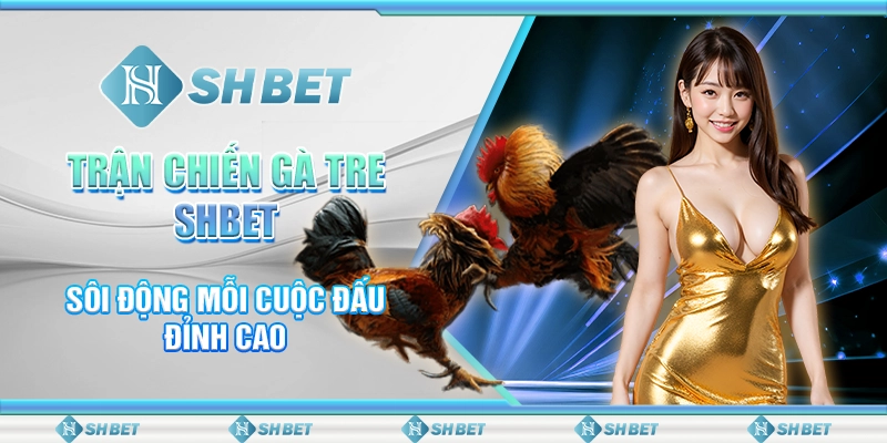 Trận Chiến Gà Tre SHBET - Sôi Động Mỗi Cuộc Đấu Đỉnh Cao