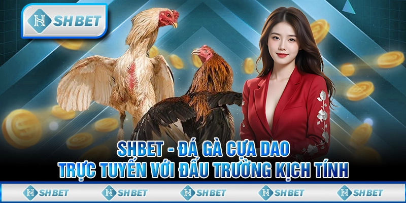 SHBET - Đá Gà Cựa Dao Trực Tuyến Với Đấu Trường Kịch Tính