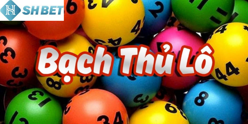 Bạch thủ lô là gì
