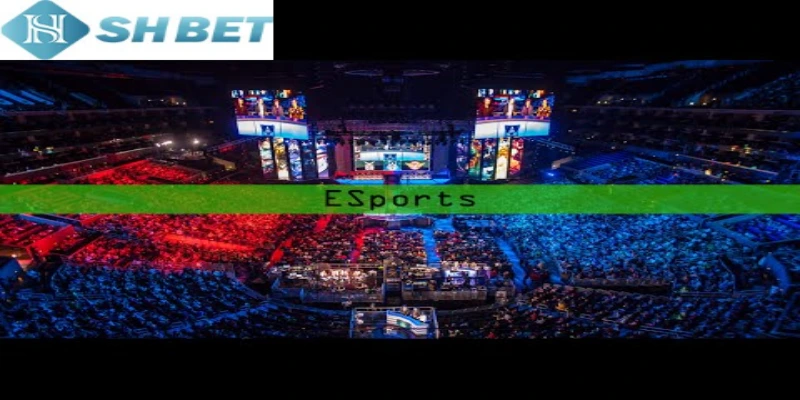 Cá cược thể thao Esport thu hút hàng triệu thành viên