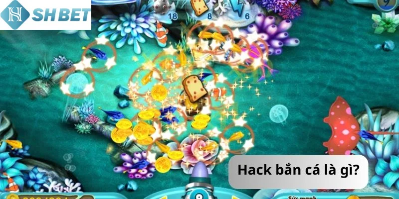 Hack bắn cá sử dụng phần mềm can thiệp kết quả