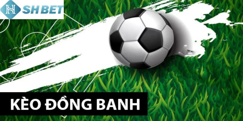 Chơi kèo đồng banh nửa trái bất bại mỗi ngày