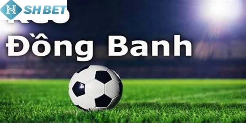Áp dụng liền cách chơi kèo đồng banh nửa quả hiệu quả