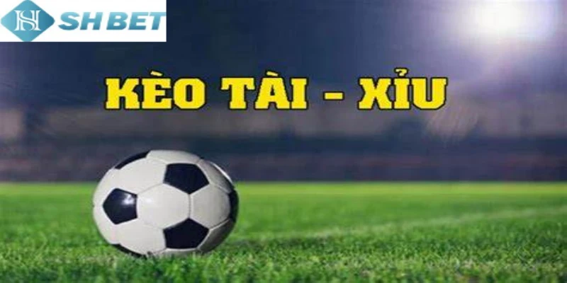 Đừng bỏ qua kinh nghiệm cá cược Tài Xỉu luôn thắng cho tân binh