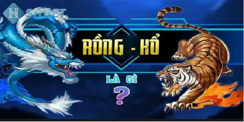 Hướng dẫn chơi Rồng và Hổ SHBET chi tiết