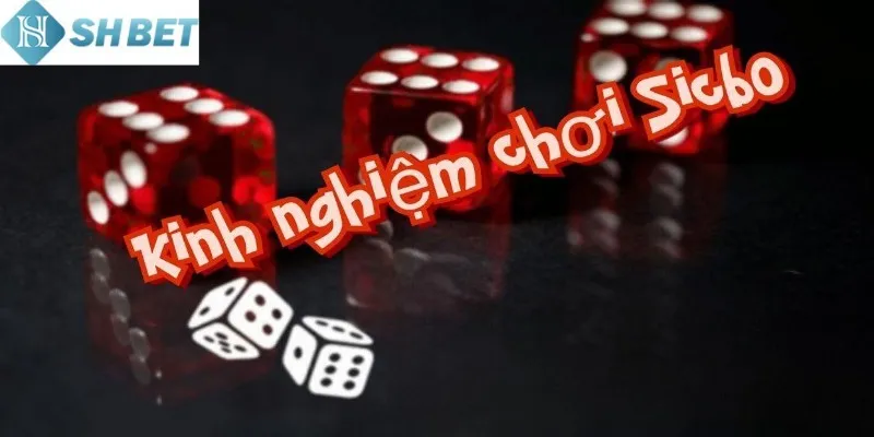 Cách chơi xúc xắc sicbo chi tiết, đơn giản bậc nhất hiện nay