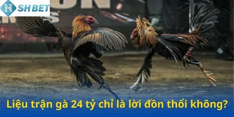 Hai nhân vật chính trong trận đấu gà 24 tỷ vang danh lịch sử