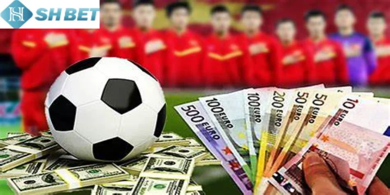 Người mới cần tìm hiểu tỷ lệ kèo nhà cái bóng đá cẩn thận