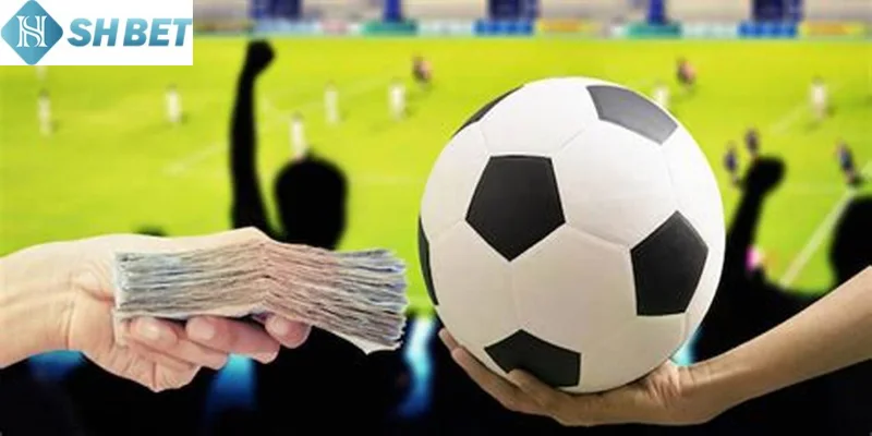 Cập nhật các loại kèo nhà cái phổ biến hôm nay nhanh