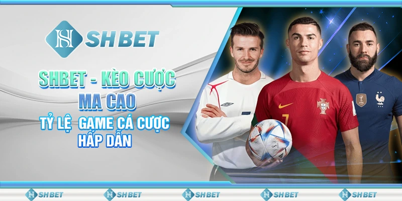 SHBET: Kèo Cược Ma Cao – Tỷ Lệ  Game Cá Cược Hấp Dẫn