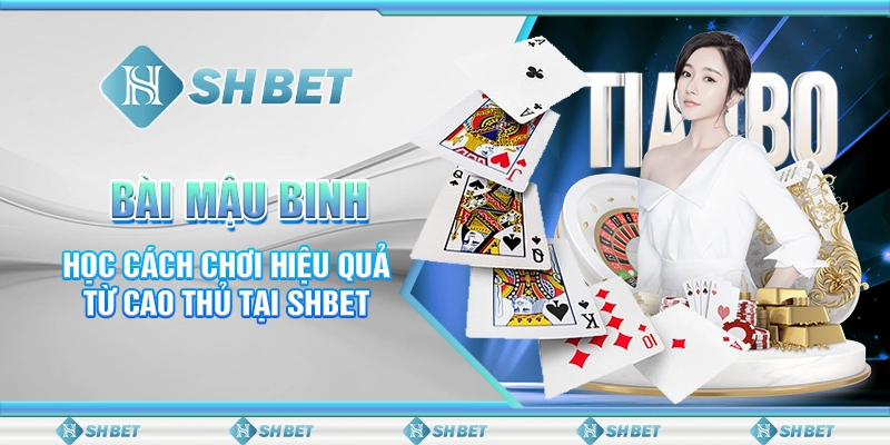 Bài Mậu Binh - Học Cách Chơi Hiệu Quả Từ Cao Thủ Tại SHBET