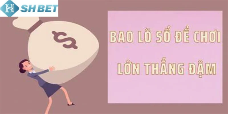 Tập trung vào lưu ý khi chơi bao lô của miền Bắc đúng cách