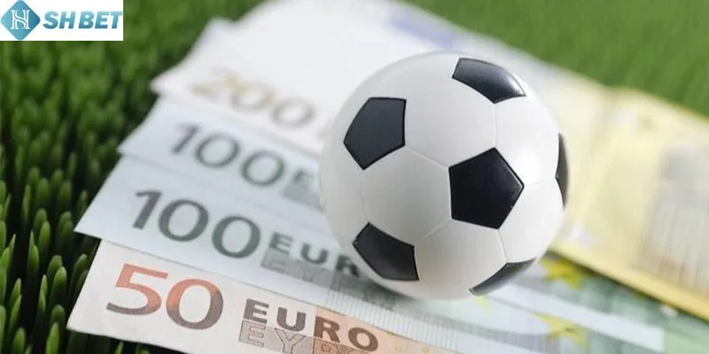 Cá Cược Vòng Loại Euro - Hòa Nhịp Thể Thao Cùng SHBET