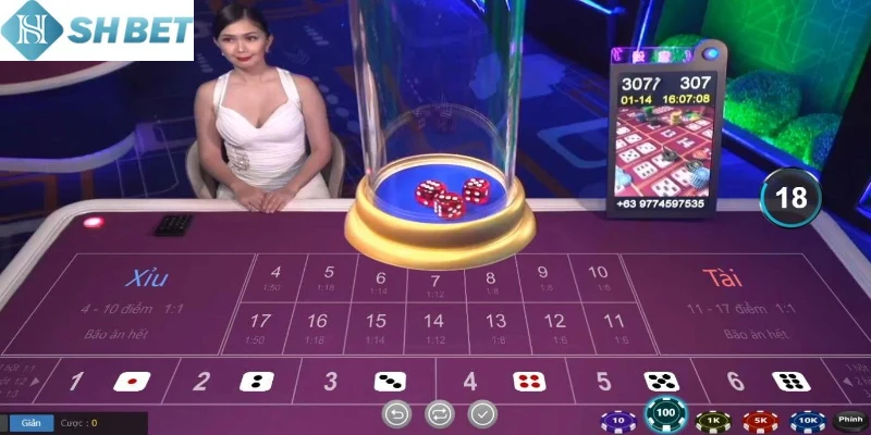 Hãy có cách bắt cầu tài xỉu dành riêng cho mình