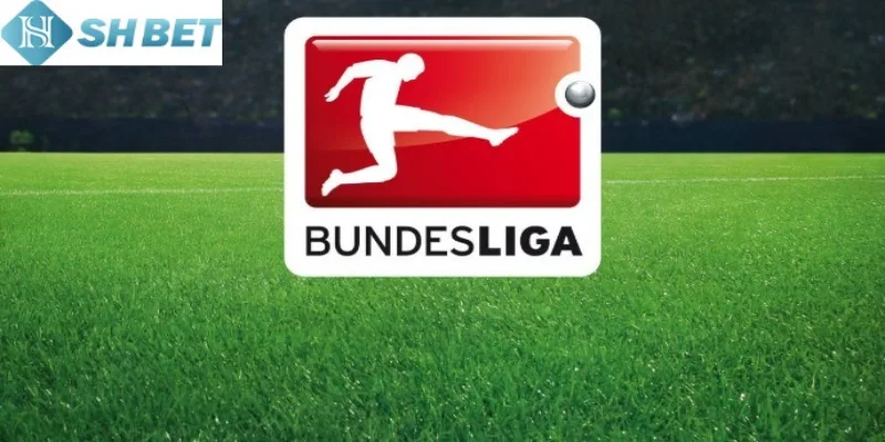 Đặt cược Bundesliga Đức và soi kèo hiệu quả mỗi ngày