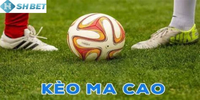 Vô vàn lý do nên chọn Shbet là địa chỉ dự đoán Ma Cao uy tín