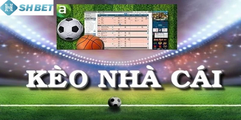 Tận dụng tối đa mẹo quan trọng khi chơi dự đoán kèo Ma Cao