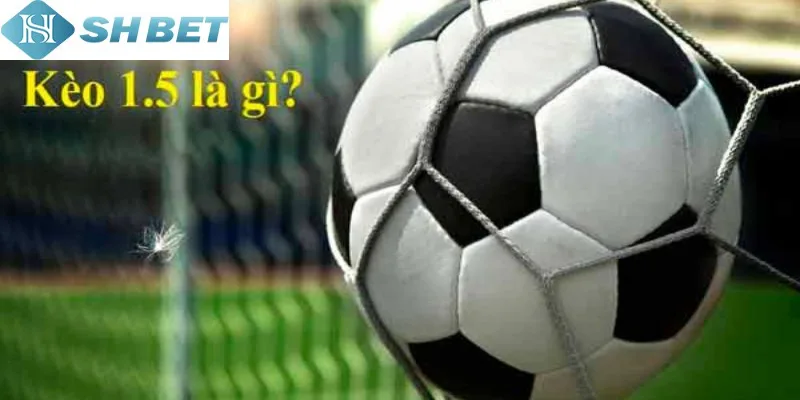 Tận dụng ngay kinh nghiệm chơi kèo chấp một trái rưỡi bất bại