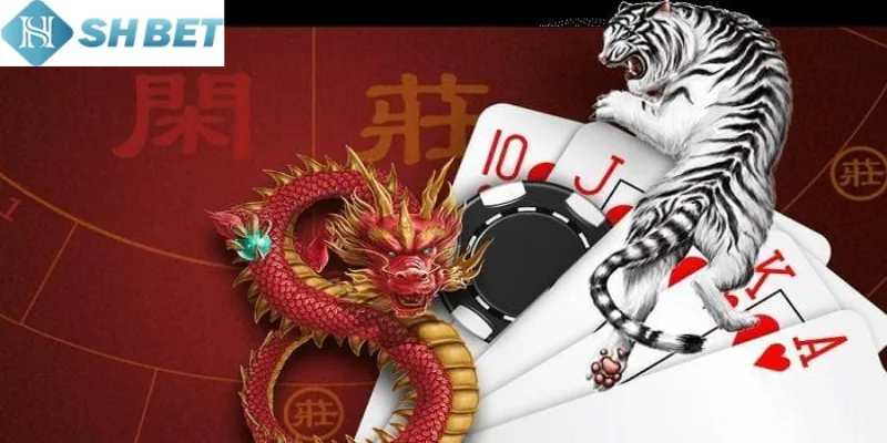 Kỹ thuật chơi rồng hổ là yếu tố cần có của nhiều người chơi