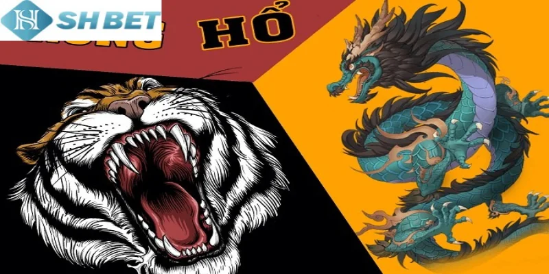 Kỹ thuật chơi thắng lớn rồng hổ là cược 3 cửa liên tiếp