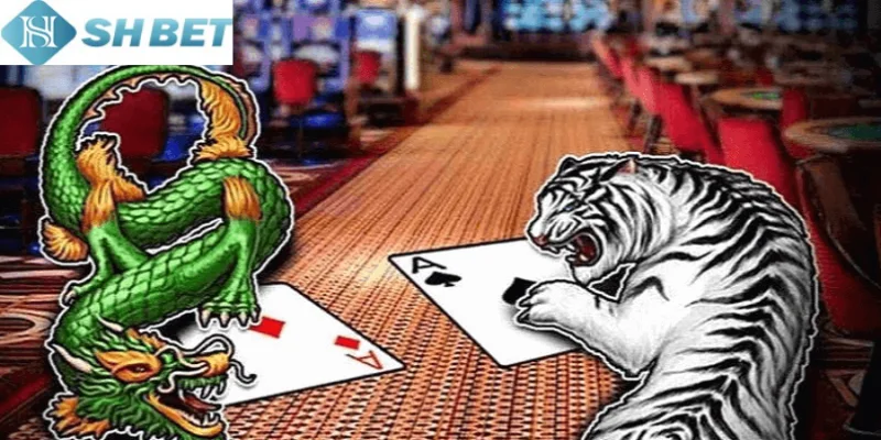 Cược vào cửa Hòa một cách cẩn trọng và bình tĩnh