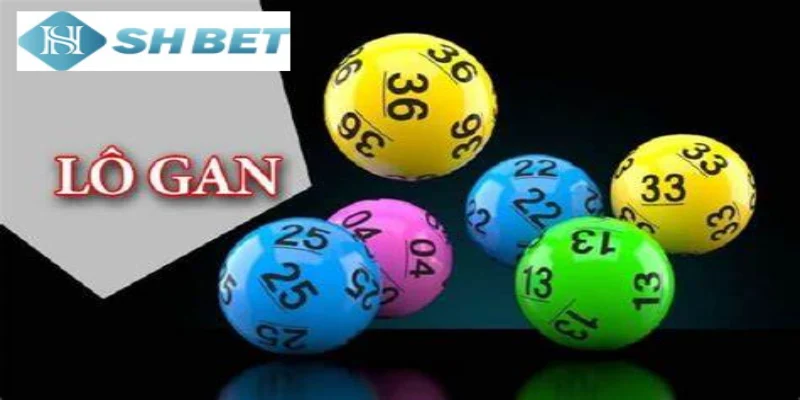 Hãy chú ý cách theo dõi lô gan của miền Nam chính xác