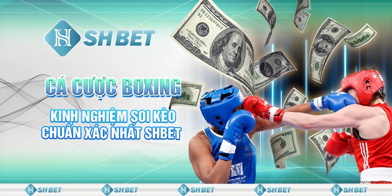 Cá Cược Boxing - Kinh Nghiệm Soi Kèo Chuẩn Xác Nhất SHBET