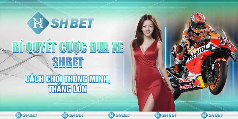 Bí Quyết Cược Đua Xe SHBET - Cách Chơi Thông Minh, Thắng Lớn