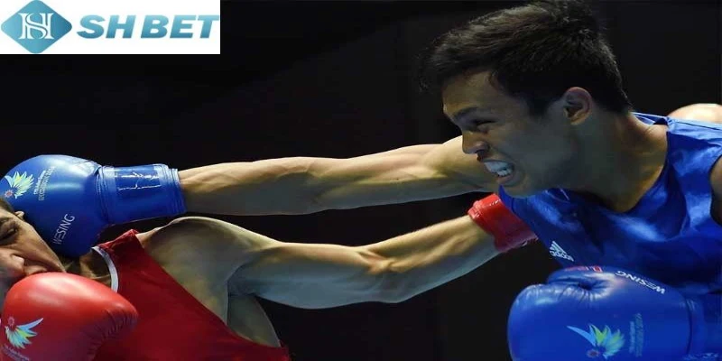 Tham gia cá cược boxing cần phải hiểu rõ luật chơi