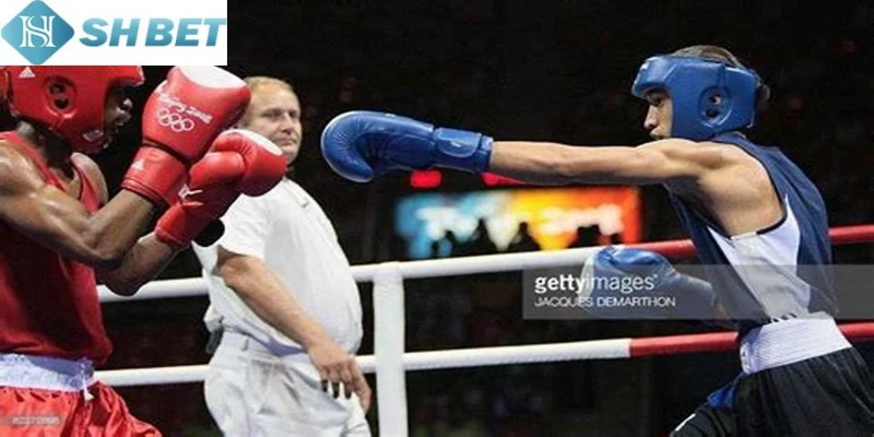 Người cược boxing cần tránh đặt cược theo cảm tính