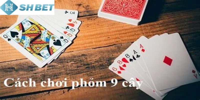 Cách chơi phỏm 9 cây là yếu tố người mới cần phải nắm