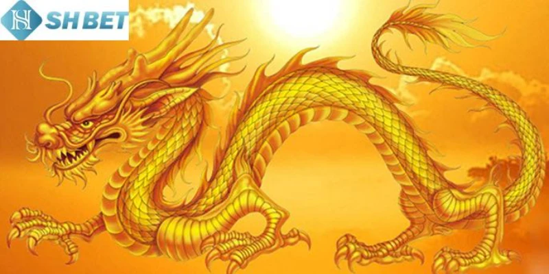 Nhiều người mơ thấy rồng với ý nghĩa khác nhau