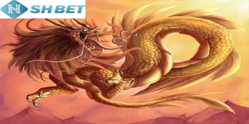 Chiêm bao thấy rồng tấn công mình liên quan đến áp lực