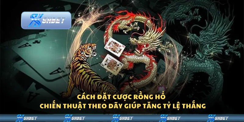 Cách đặt cược Rồng Hổ – Chiến thuật theo dãy giúp tăng tỷ lệ thắng